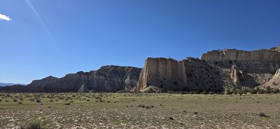 20260903_170021.jpg