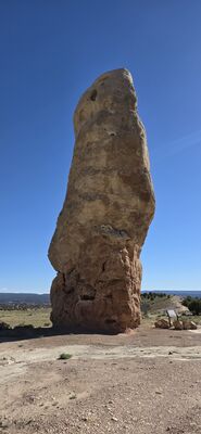 20260903_170117.jpg