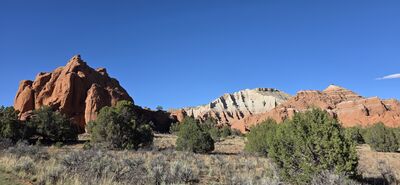 20260903_172136.jpg