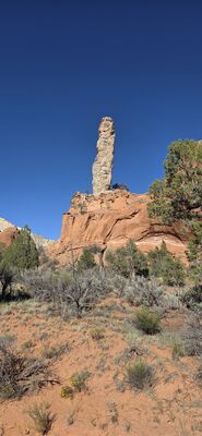 20260903_172212.jpg