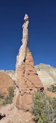 20260903_172851.jpg