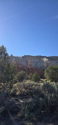 20260903_173531.jpg