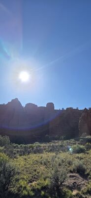20260903_174206.jpg