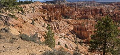 20260904_103918.jpg