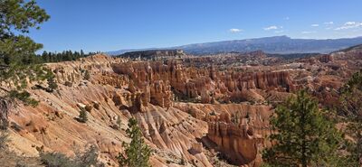 20260904_103959.jpg
