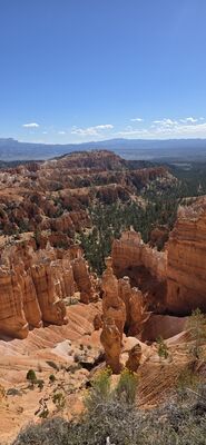 20260904_104540.jpg