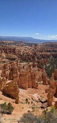 20260904_104552.jpg