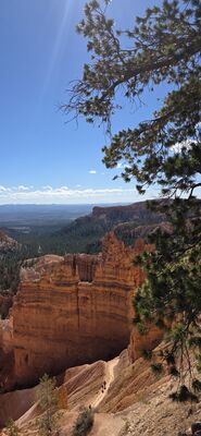 20260904_104558.jpg
