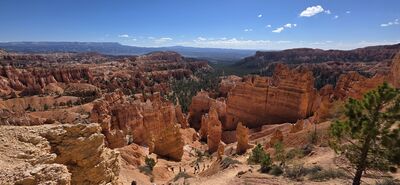 20260904_104703.jpg