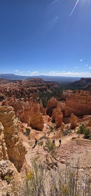 20260904_104714.jpg
