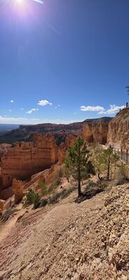 20260904_104729.jpg