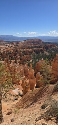 20260904_104843.jpg