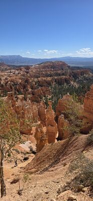20260904_104848.jpg