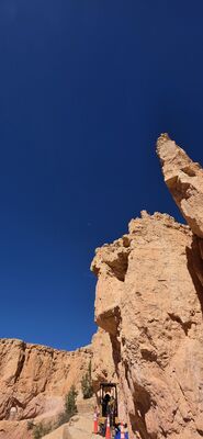 20260904_105051.jpg