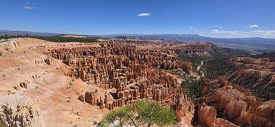 20260904_110931.jpg