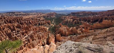 20260904_110936.jpg