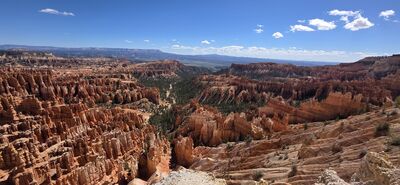 20260904_111029.jpg