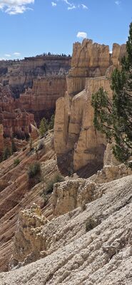 20260904_111231.jpg
