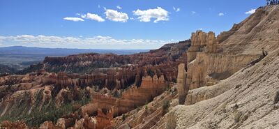 20260904_111333.jpg