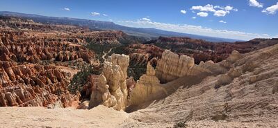 20260904_111653.jpg