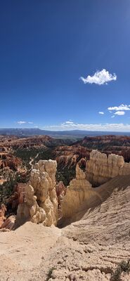 20260904_111705.jpg