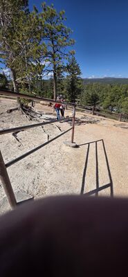 20260904_111733.jpg