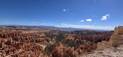 20260904_111905.jpg