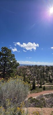 20260904_113444.jpg