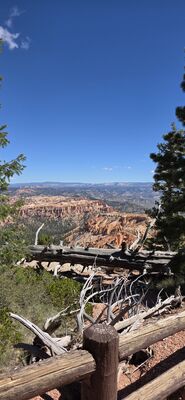 20260904_113738.jpg
