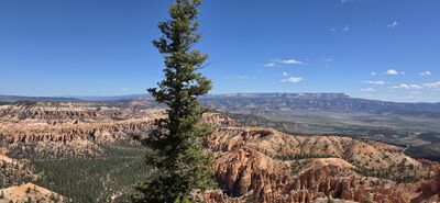 20260904_113835.jpg