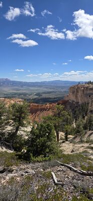 20260904_114049.jpg
