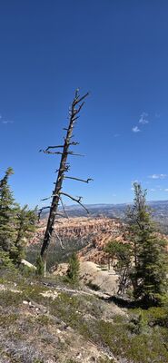 20260904_114158.jpg