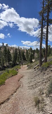 20260904_114203.jpg