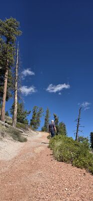 20260904_114343.jpg