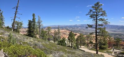 20260904_114404.jpg