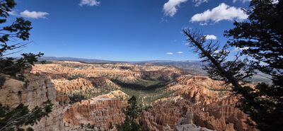 20260904_115139.jpg