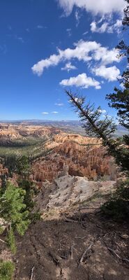 20260904_115210.jpg