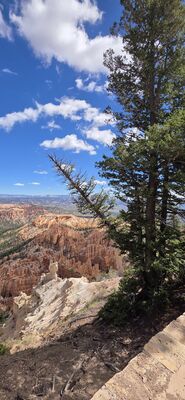 20260904_115218.jpg
