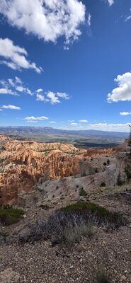 20260904_115411.jpg