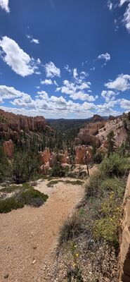 20260904_121917.jpg