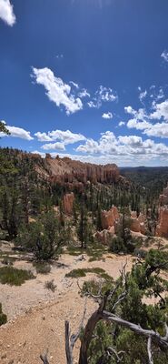 20260904_122019.jpg