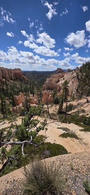 20260904_122025.jpg