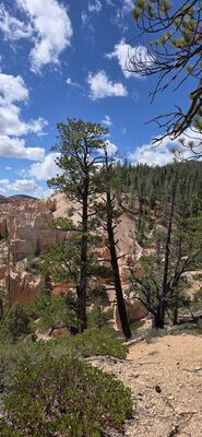 20260904_122439.jpg