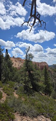 20260904_122521.jpg