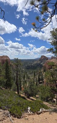 20260904_122526 (2).jpg