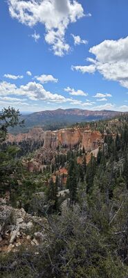20260904_125510.jpg