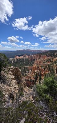 20260904_130233.jpg