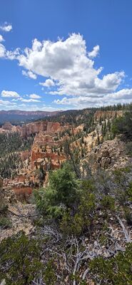 20260904_130238.jpg