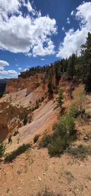 20260904_132758.jpg