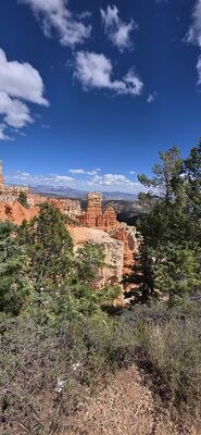 20260904_133946.jpg